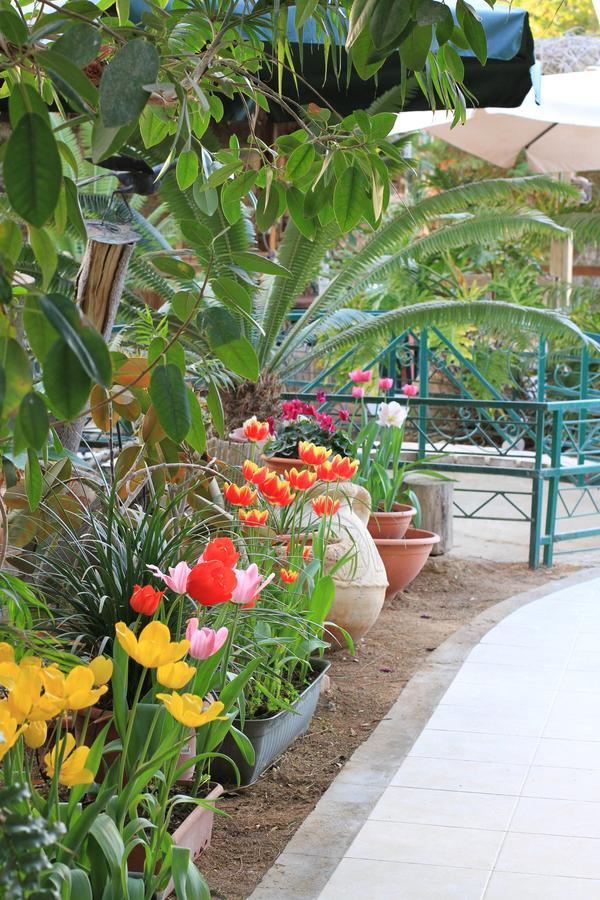 Idan In The Arava Lodge *