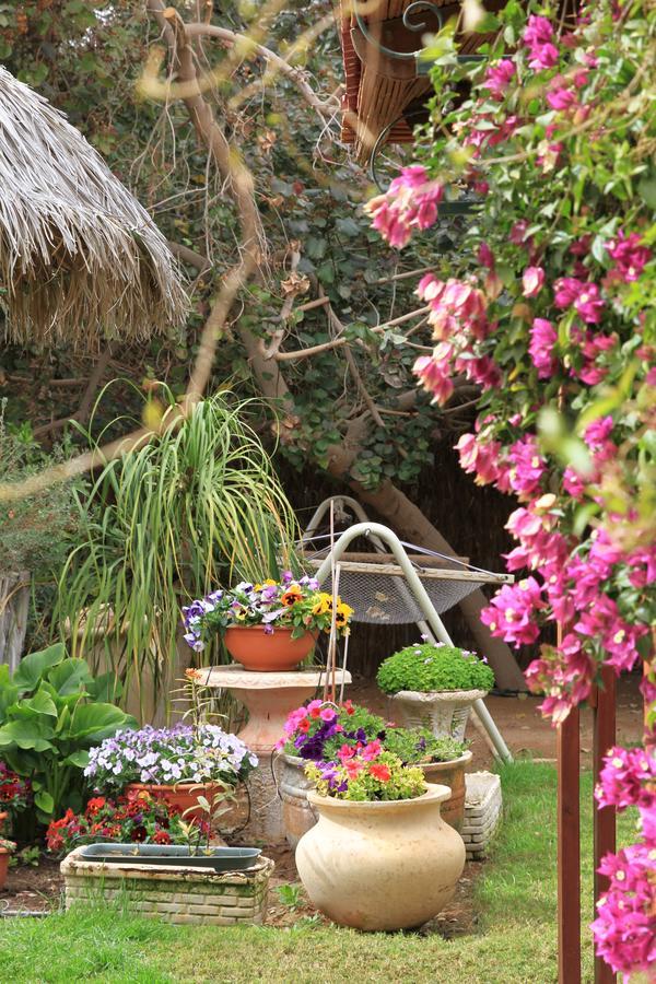 Lodge Idan In The Arava